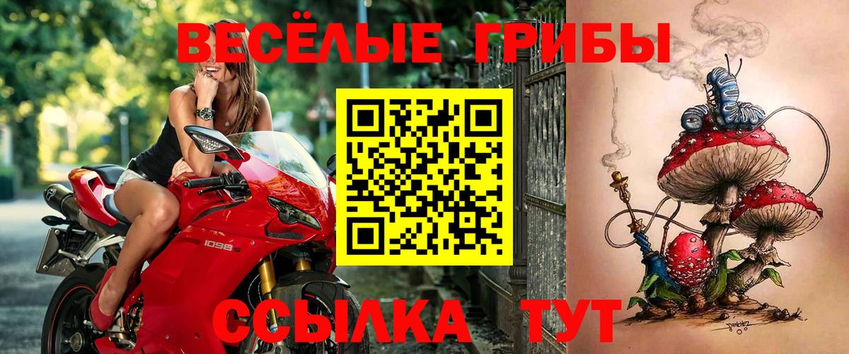 Псилоцибиновые грибы Psilocybe  Псилоцибиновые грибы Magic Shrooms  Вход с VPN  Новокубанск 