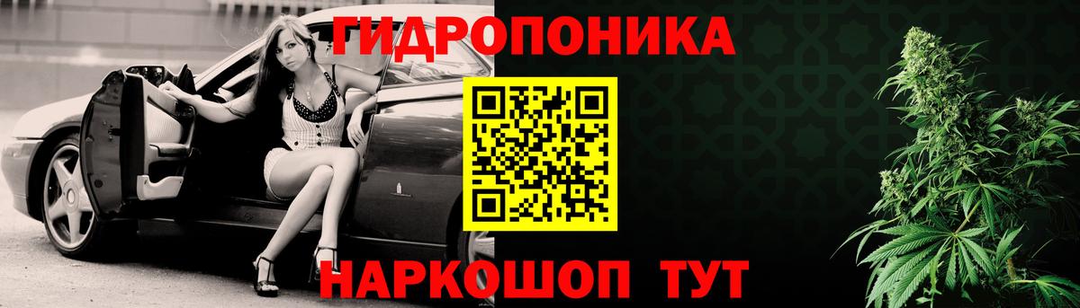 Канабис семена Новокубанск